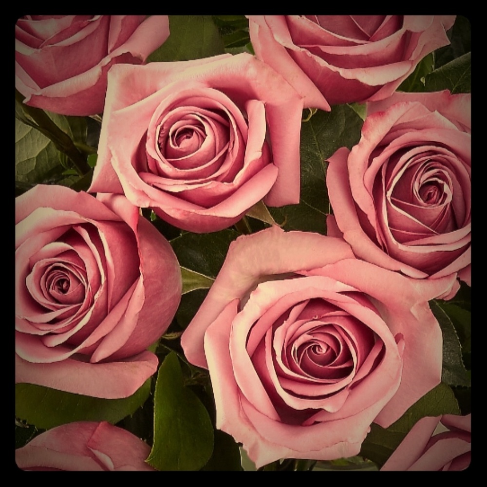 Meet your Posher, Maria